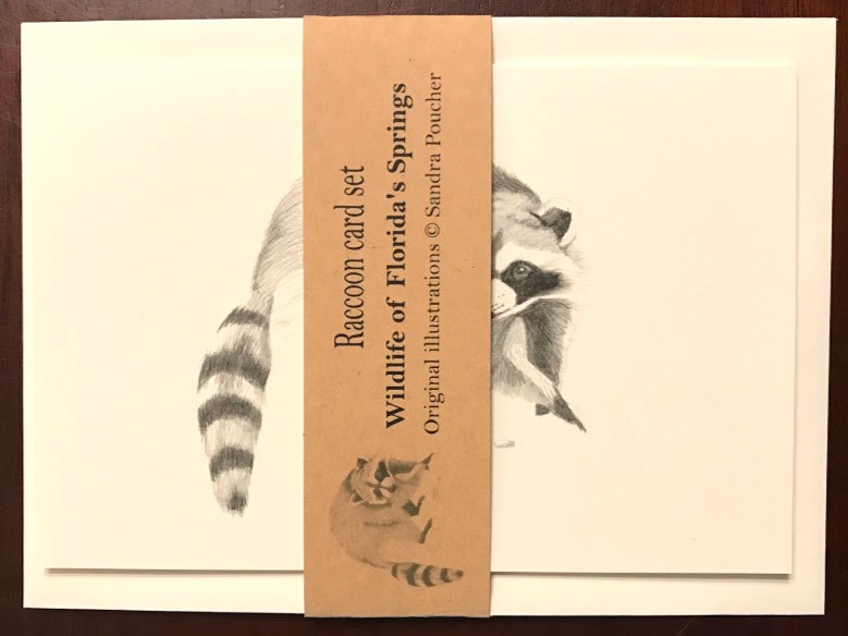 raccoon card